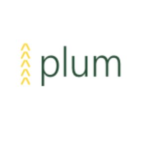 Plum Digital – Graphic Design & Branding Solutions