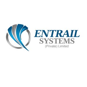 Entrail Systems – IT Systems for Businesses